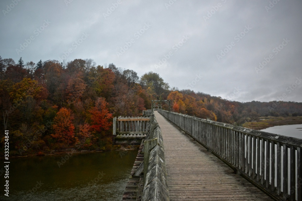 Fototapeta premium bridge over the river