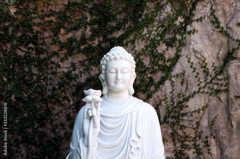 Budda Budda
