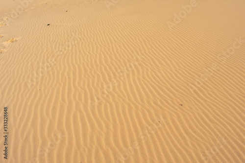 Sand Dunes in Corralejo  Fuerteventura  Canary Islands  Spain. Sand or Desert against Blue sky 