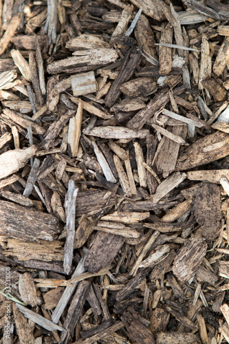 dried wood or mulch