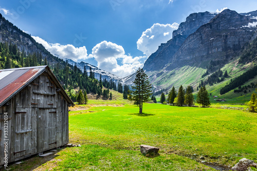 Wunderschöne Schweizer Berglandschaft im Fühling