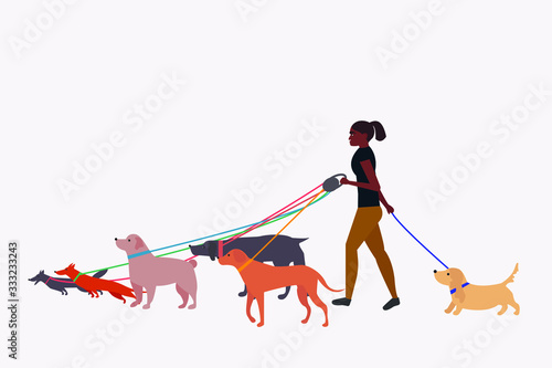 Dog walker. Woman working with a group of dogs of different breeds.