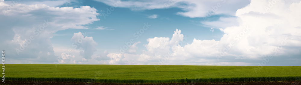 Beautiful summer landscape green field and blue sky with clouds web banner panoramic Beautiful summer landscape green field and blue sky with clouds web banner panoramic