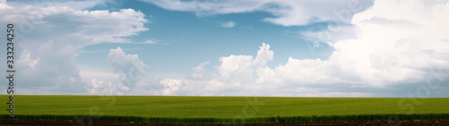 Beautiful summer landscape green field and blue sky with clouds web banner panoramic