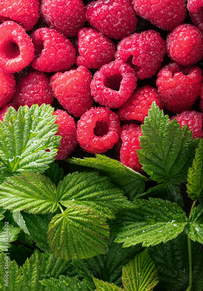 Ripe and juicy fresh picked raspberries with green leaves. Ripe and juicy fresh picked raspberries with green leaves.