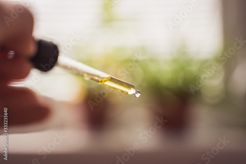 CBD hemp oil, Hand holding bottle of Cannabis oil against Marijuana plant. Herbal Treatment, Alternative Medicine