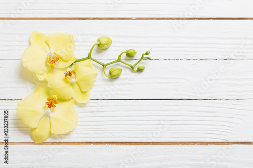 yellow orchids on white wooden background