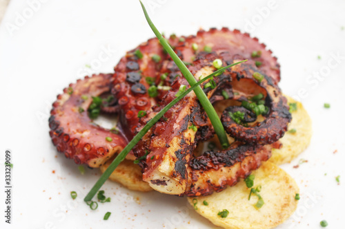 Rich and healthy octopus