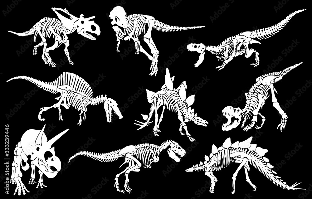Fototapeta Graficzny zestaw dinozaurów na białym tle na czarnym tle, grawerowana ilustracja wektorowa