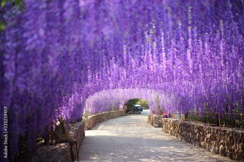 Flower tunnel in Cherntawan International Meditation Center in Chiang Rai, Thailand photo