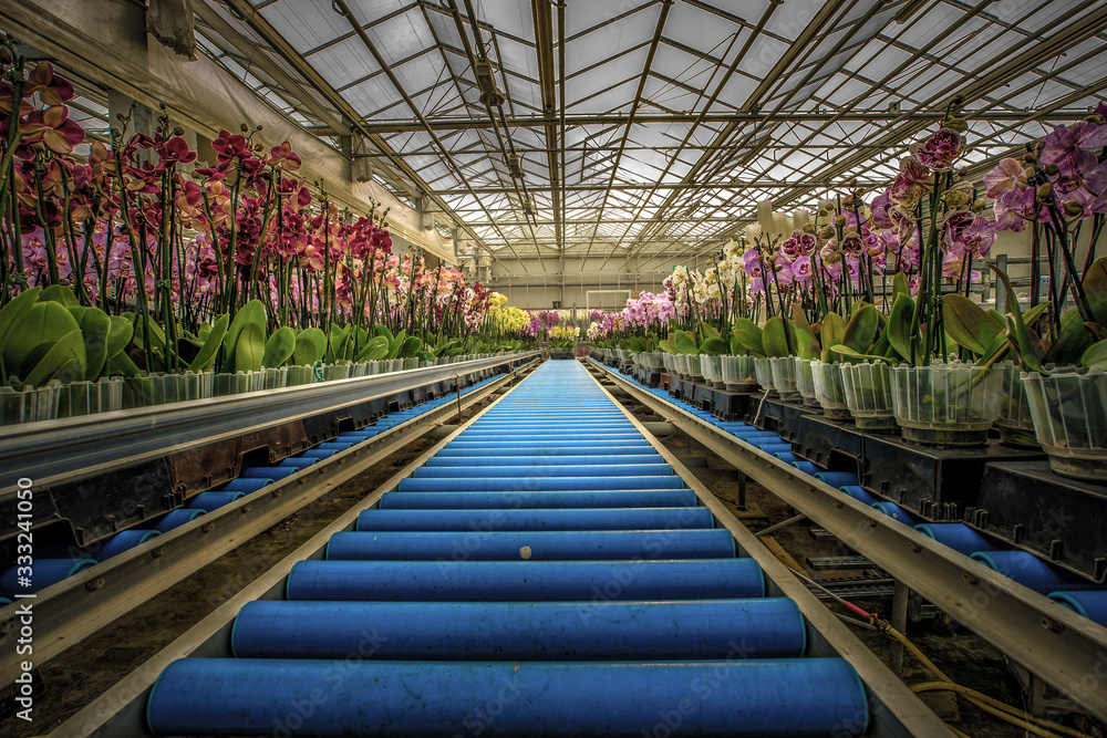 the photograph shows the practical use of conveyor belts consisting of conveyor rollers.