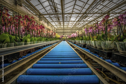 the photograph shows the practical use of conveyor belts consisting of conveyor rollers.