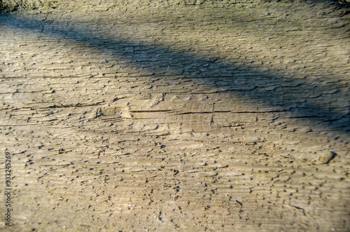 The texture of the wood panel in the rays of sunlight