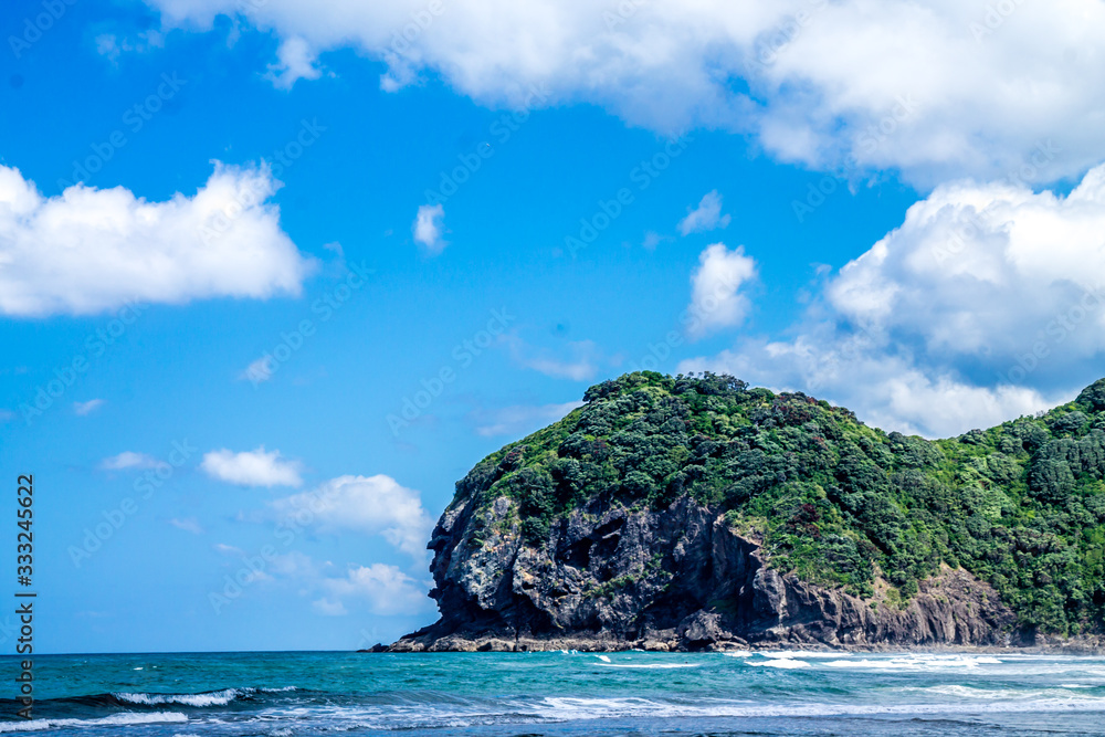 Fototapeta premium Waves crash ashore on Piha Beach, Auckland, New Zealand