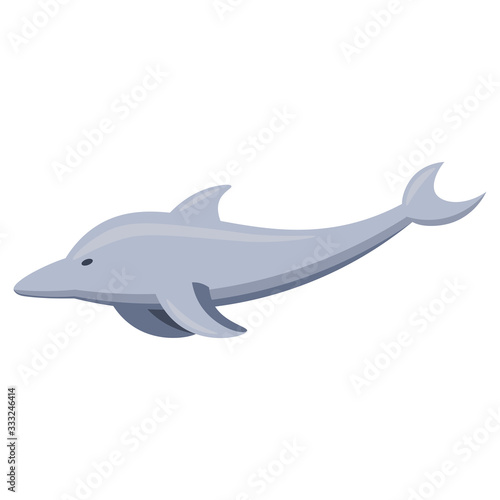 Dolphin illustration design element. sea life flat icon.
