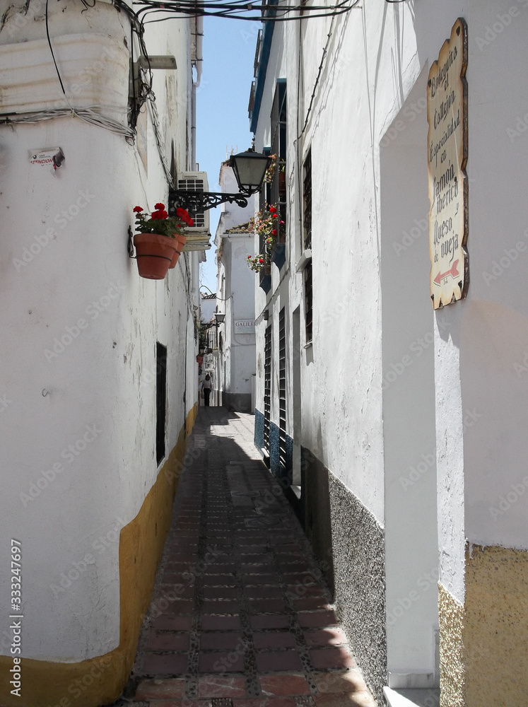 Fototapeta premium spanish alleyway