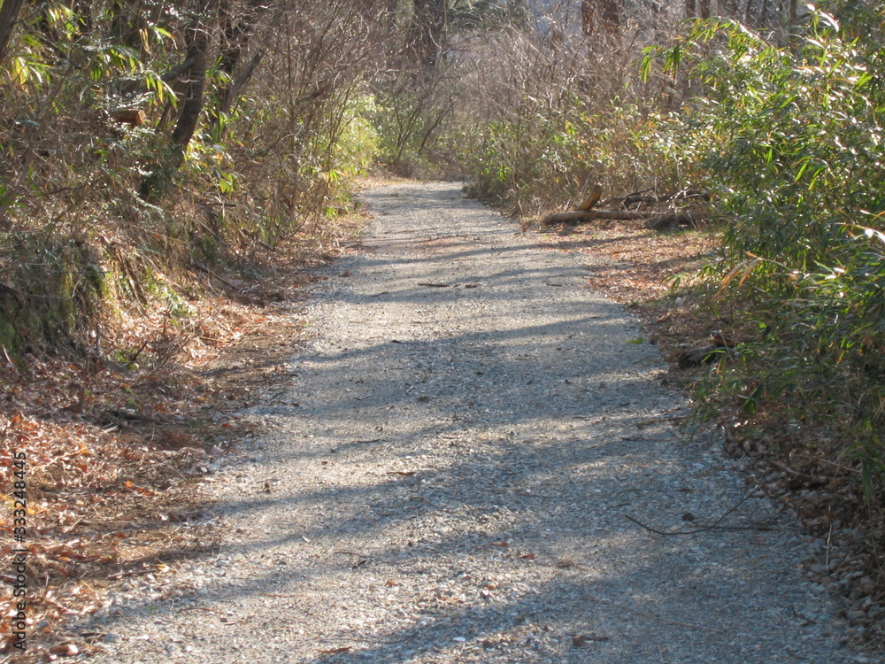 山道 山道