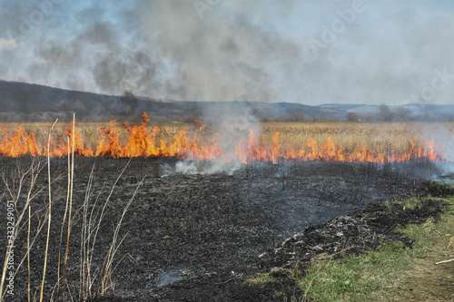 fire and smoke in field