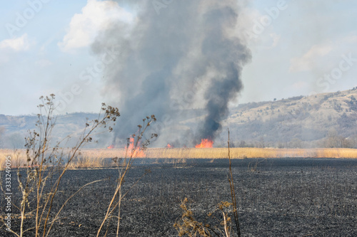 fire and smoke in field
