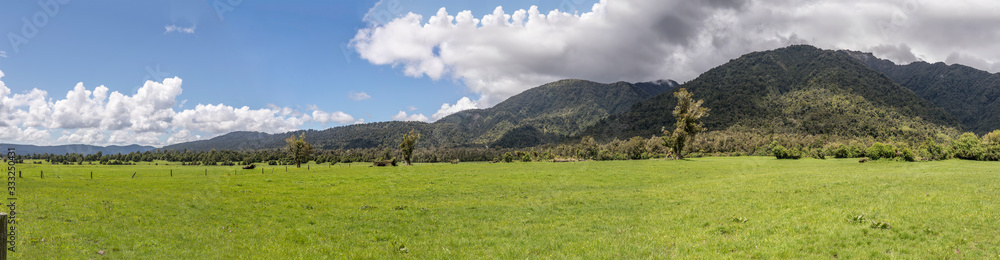 green meadows landscape, near Franz Josef Waiau, West Coast, New Zealand