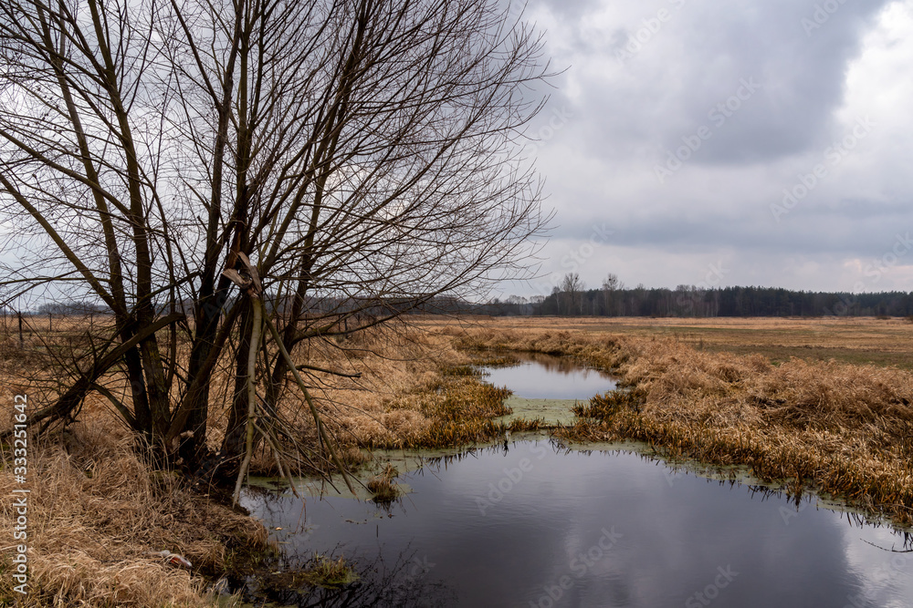 Wiosna na Podlasiu. Dolina Górnej Narwi. Rzeka Narew. Podlasie. Polska Wiosna na Podlasiu. Dolina Górnej Narwi. Rzeka Narew. Podlasie. Polska