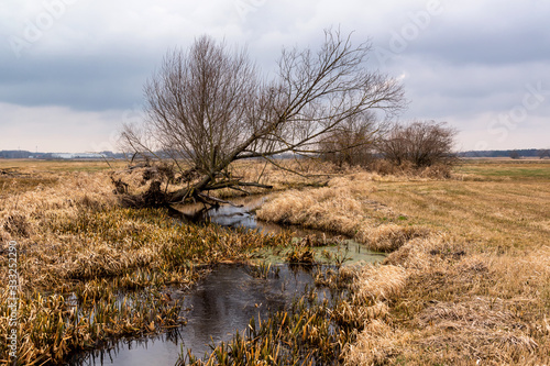 Fototapeta Naklejka Na Ścianę i Meble -  Wiosna na Podlasiu. Dolina Górnej Narwi. Rzeka Narew. Podlasie. Polska