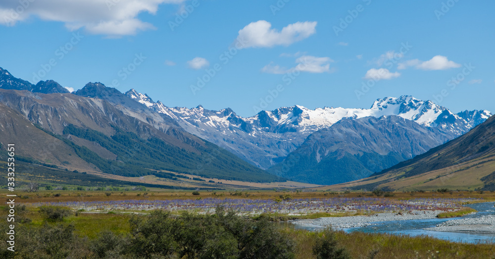 Ahuriri Conservation Area New Zealand