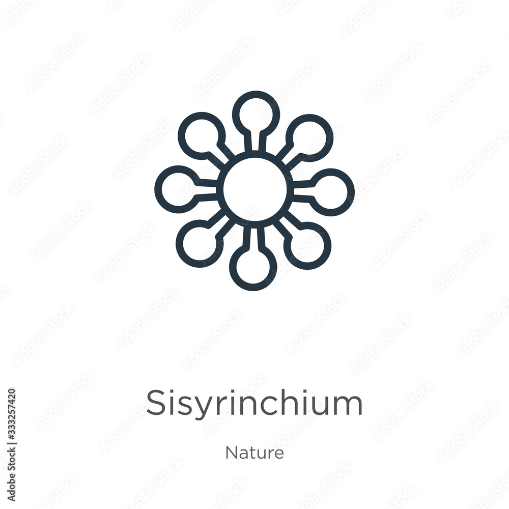 Sisyrinchium icon. Thin linear sisyrinchium outline icon isolated on white background from nature collection. Line vector sign, symbol for web and mobile Sisyrinchium icon. Thin linear sisyrinchium outline icon isolated on white background from nature collection. Line vector sign, symbol for web and mobile