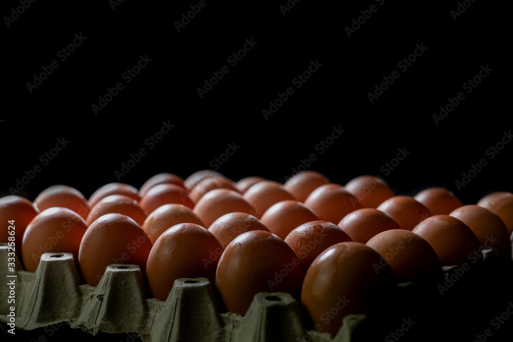 Eggs carton with chicken egg lined up in rows at black background