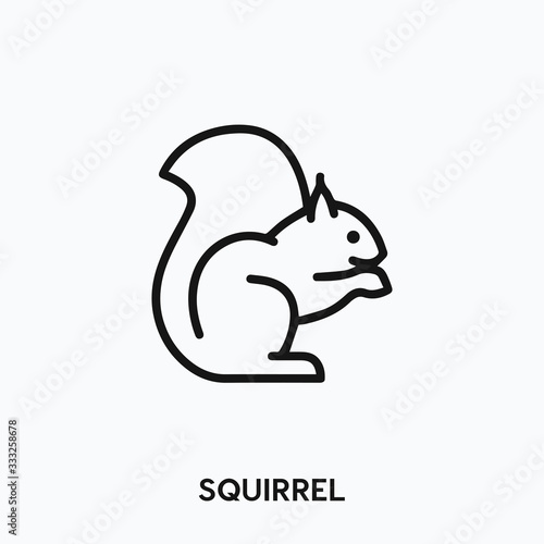 squirrel icon vector. squirrel icon vector symbol illustration. Modern simple vector icon for your design. squirrel icon vector	
