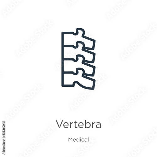 Vertebra icon. Thin linear vertebra outline icon isolated on white background from medical collection. Line vector sign, symbol for web and mobile