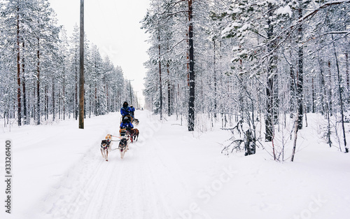 People in Husky dog sled in Finland in Lapland winter reflex