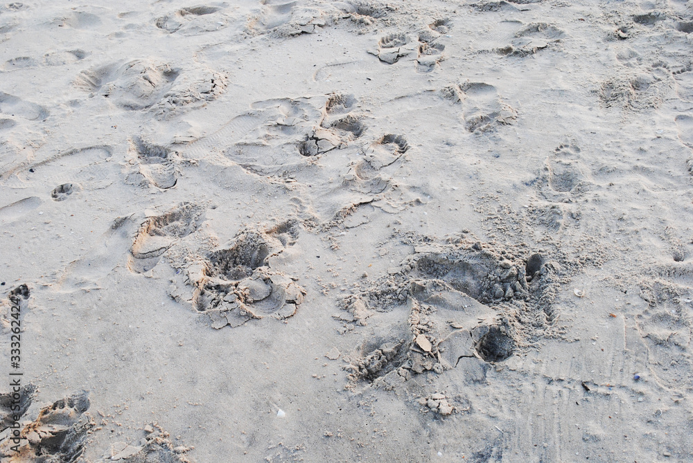Golden Sand on the beach as background. Sand Texture. Golden sand
