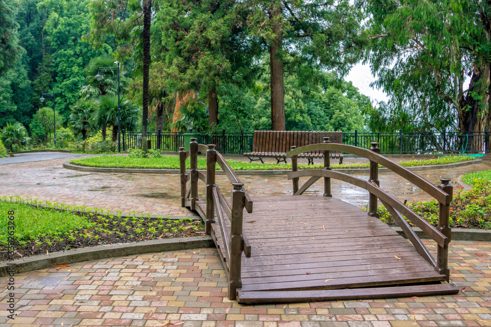 View of beautiful summer park with green trees, bushes and lawns, palm trees, wooden bridge and benches at rainy weather. 