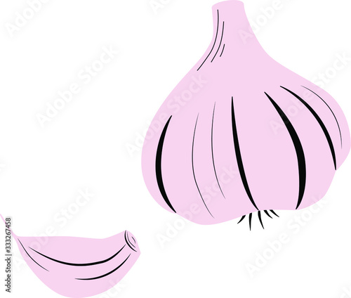 Vector illustration of garlic in cartoon simple flat style isolated on white background. Healthy food concept.