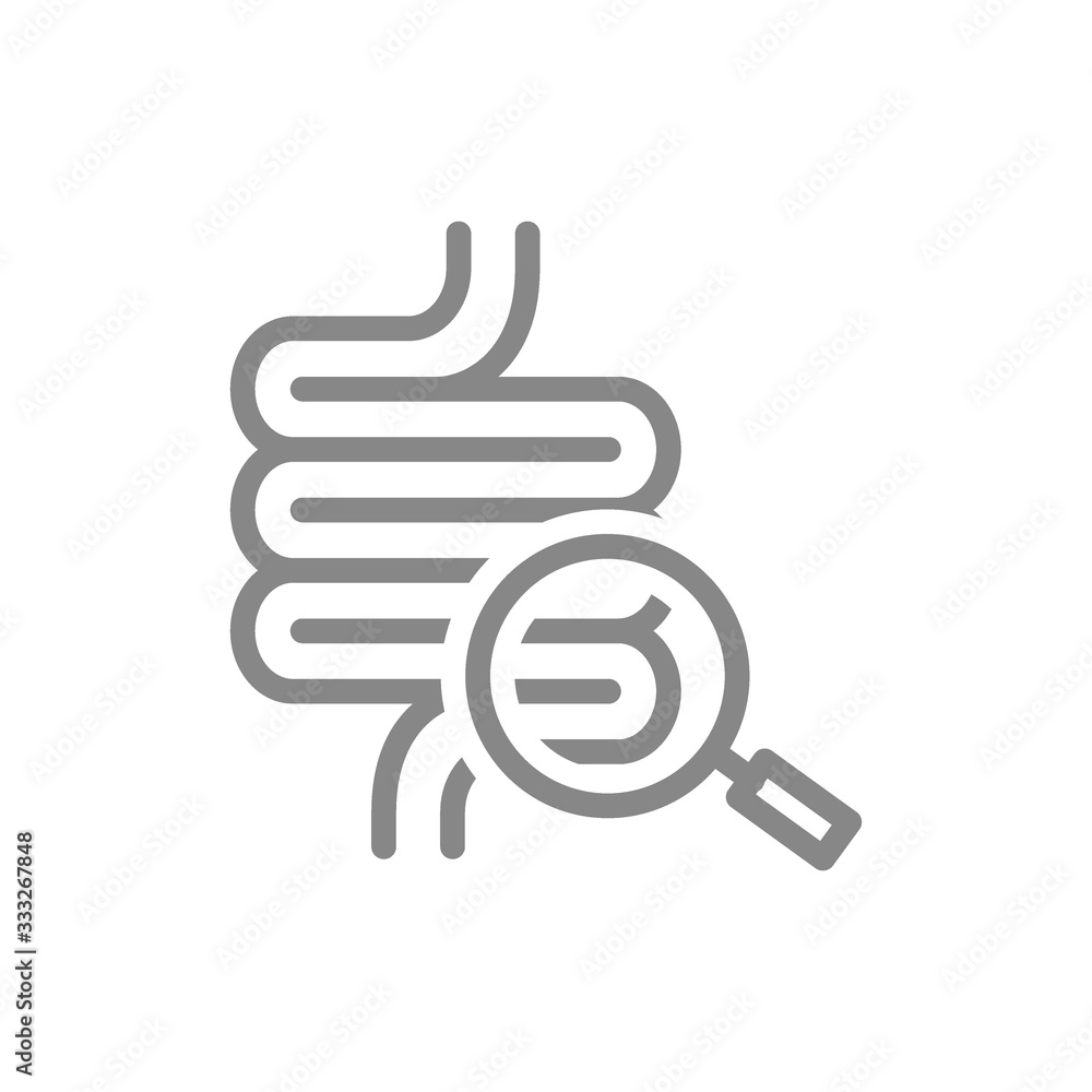 Intestine with magnifying glass line icon. Organ research, health analyzes, disease prevention symbol Intestine with magnifying glass line icon. Organ research, health analyzes, disease prevention symbol