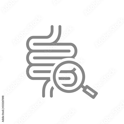 Intestine with magnifying glass line icon. Organ research, health analyzes, disease prevention symbol