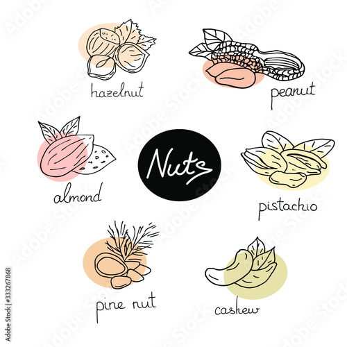 Hand drawn colored stylized nuts set. Peanut, pistachio, cashew, almond,pine nut and hazelnut vector isolated elements.
