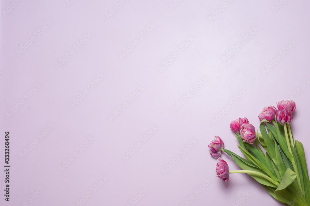 a bouquet of pink tulips on a lilac background. a bouquet of flowers as a gift. card for the holiday a bouquet of pink tulips on a lilac background. a bouquet of flowers as a gift. card for the holiday