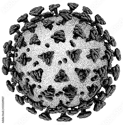 Coronavirus virus, bacteria illustration, drawing, engraving, ink, line art, vector