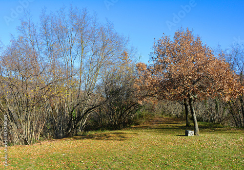 The early winter landscape near the village of Golo Brdo in the Brda municipality of Primorska in Slovenia photo