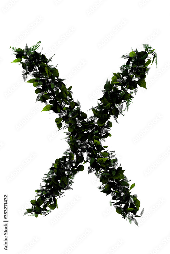 Letter X made of leaf isolated on white.made in 3d