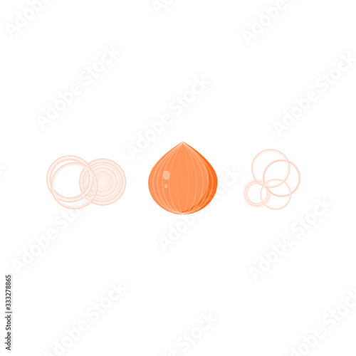 This is onion isolated on white background. Vector illustration.