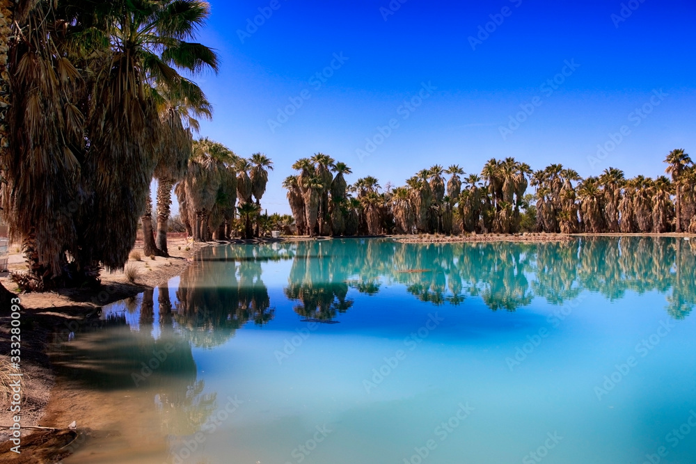 Blue waters and palm trees at Agua Caliente Park, an oasis in the Arizonan desert NE of Tucson