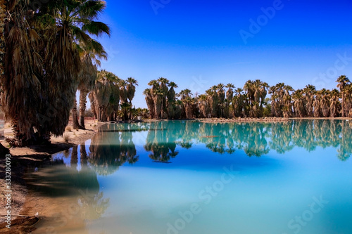 Blue waters and palm trees at Agua Caliente Park, an oasis in the Arizonan desert NE of Tucson