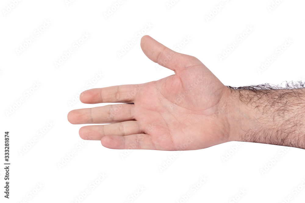 Caucasian male arm isolated on white background. Hairy arm of an adult male Caucasian male arm isolated on white background. Hairy arm of an adult male