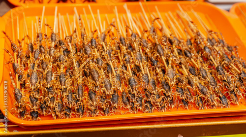 Roasted insects steet food in wuhan, china photo