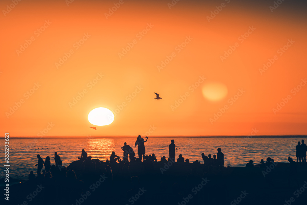 Sunset at the beach with birds flying