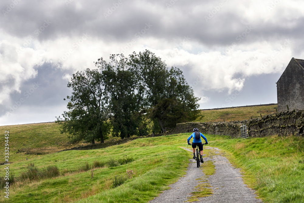 Obraz premium A cyclist riding a mountain bike up a dirst track for a cross country ride over remote English moorland, UK.
