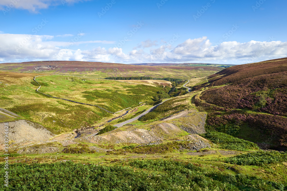 Moorland views of heather looking down Hawkwood Burn towards Bolliehope. England UK. Moorland views of heather looking down Hawkwood Burn towards Bolliehope. England UK.